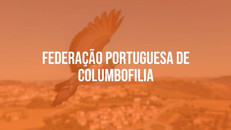 A majestic racing pigeon in flight against a scenic Portuguese countryside, clear blue sky, realistic and detailed.
